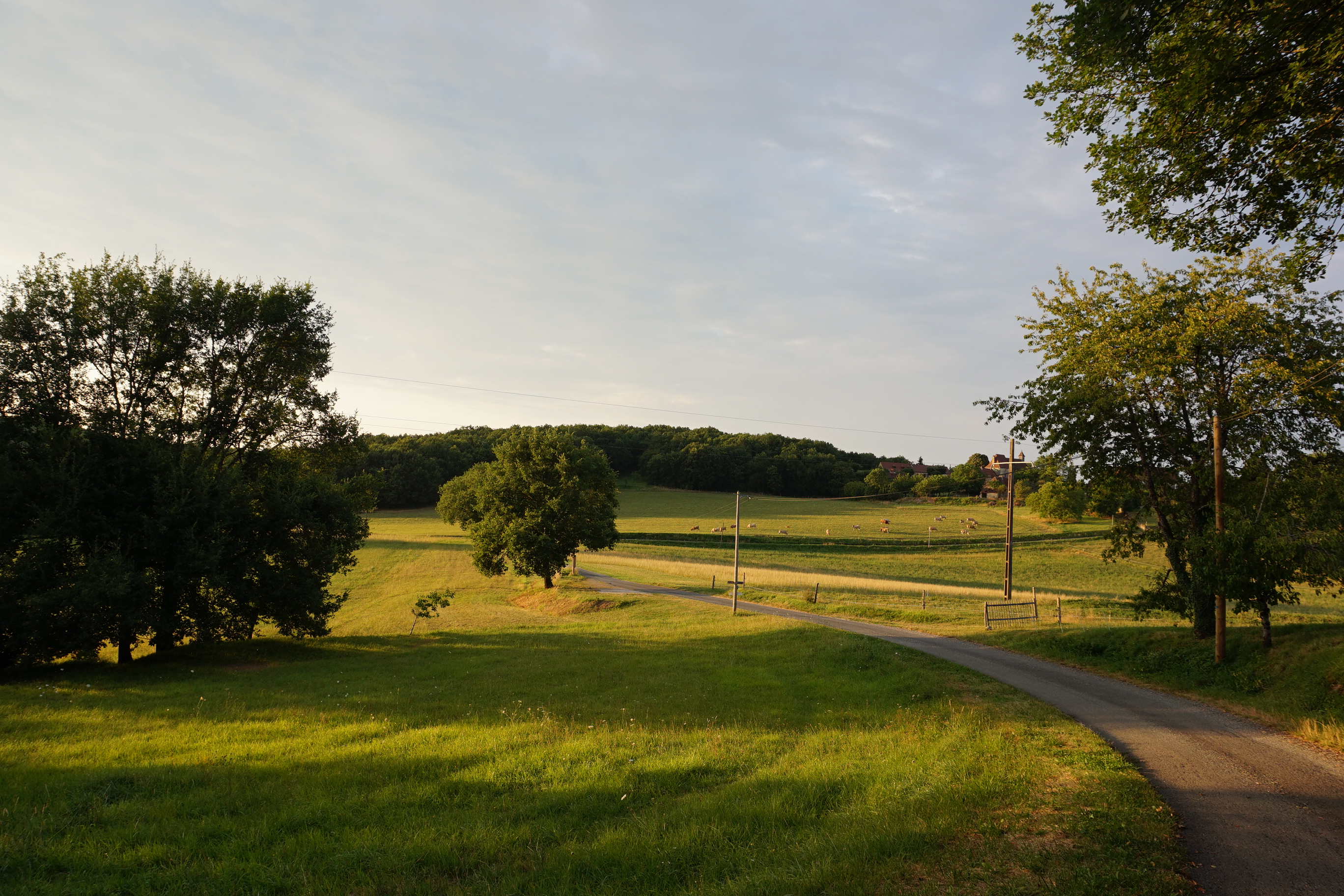 Chemin traversant un paysage rural au coucher du soleil, prairies et arbres